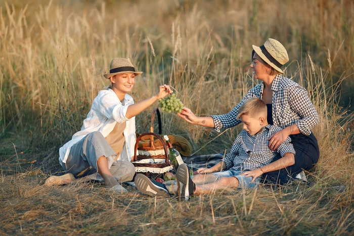 Una familia haciendo un picnic