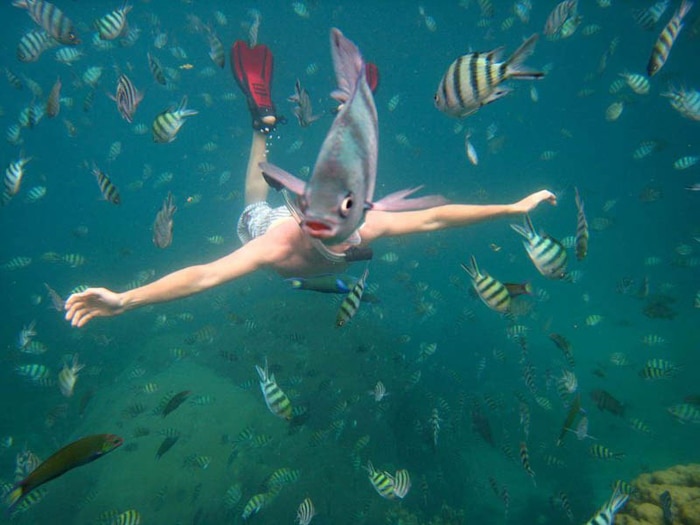 Foto de un buzo con un pez nadando frente a su cabeza.