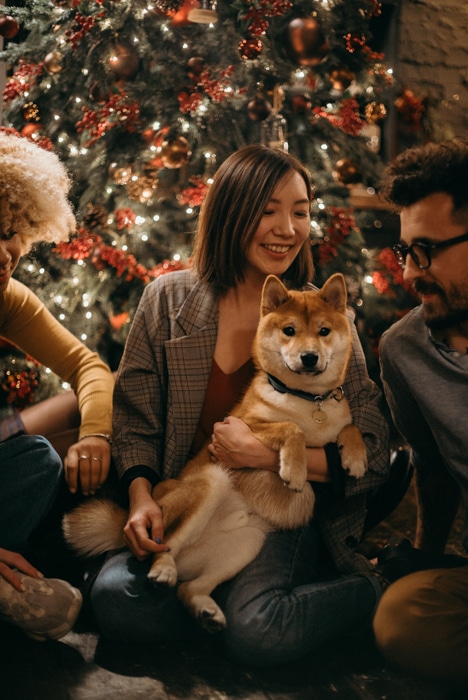 Un retrato familiar navideño con perros.