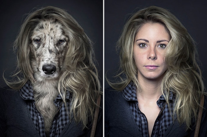 Idea de fotografía de mascota de un díptico de un perro y su dueño con un aspecto similar