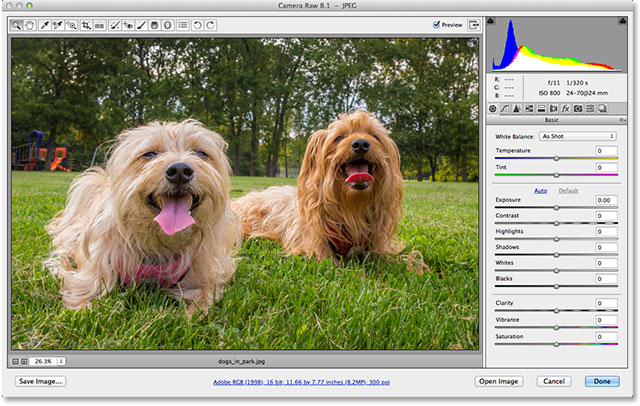 Enderezar una imagen torcida con la herramienta Recortar en Adobe Camera Raw 8.