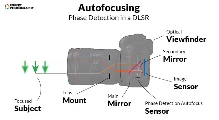 infografía sobre el enfoque automático en una DSLR