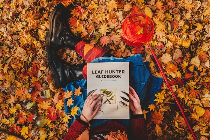 vista desde arriba.  niña sentada en un montón de hojas naranjas caídas en otoño, con un cazamariposas rojo a su lado, sosteniendo un libro: Guía del Cazador de Hojas