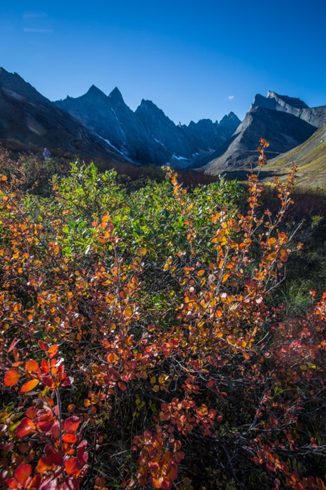 Una hermosa fotografía de otoño de montañas con follaje en primer plano