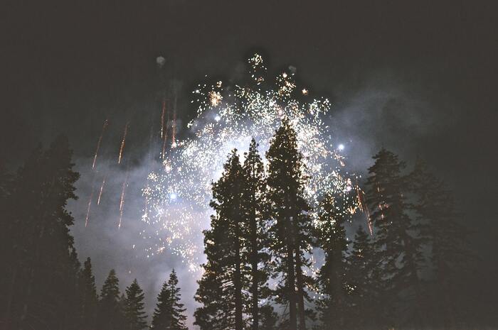 Foto de fuegos artificiales explotando sobre un bosque