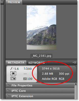 Visualización del panel Metadatos en Adobe Bridge.  Imagen © 2013 Photoshop Essentials.com