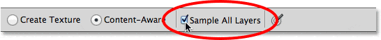 La opción Sample All Layers en la barra de opciones de Photoshop.
