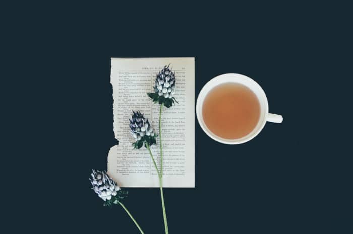 Serena foto plana de una taza de té, la página de un libro y tres flores sobre un fondo oscuro: comprensión de diferentes tipos de archivos, formatos y extensiones de archivo 