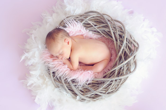 Foto de un bebé en un nido con plumas