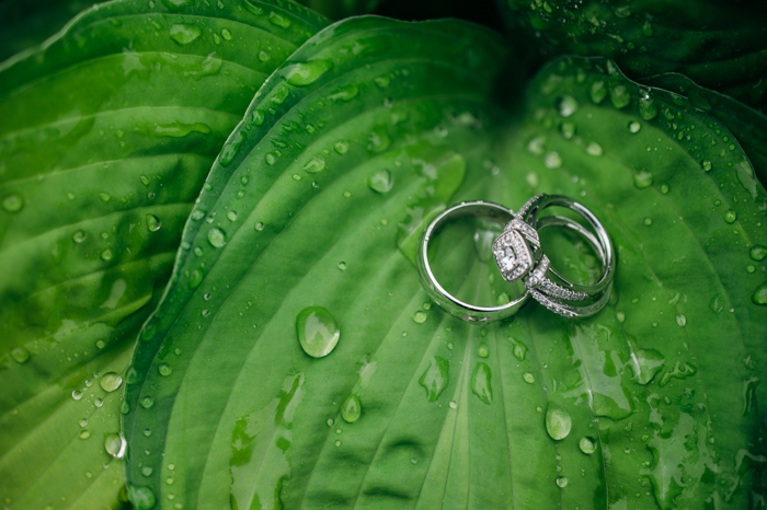 anillos de boda descansando sobre una hoja cubierta de lluvia