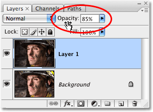 La opción Opacidad en la paleta Capas en Photoshop.