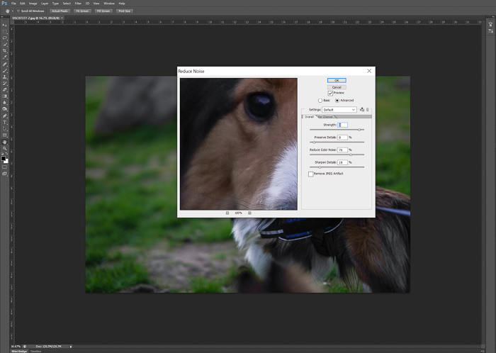 Edición de un retrato de mascota de un perro marrón en Adobe Photoshop: consejos para la fotografía nocturna