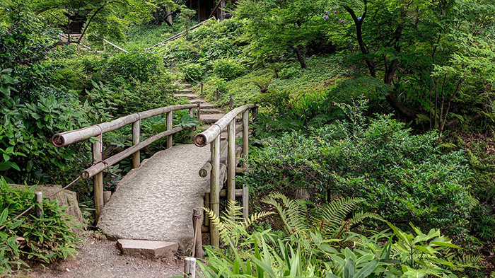 Jardín Sankeien ubicado en Yokohama - consejos de fotografía de Japón