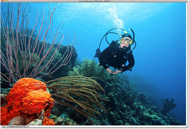 Una foto de un buceador y un coral.  Imagen con licencia de iStockphoto por Photoshop Essentials.com.