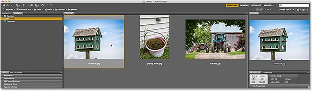 Adobe Bridge CC.  Imagen © 2013 , Photoshop Essentials.com