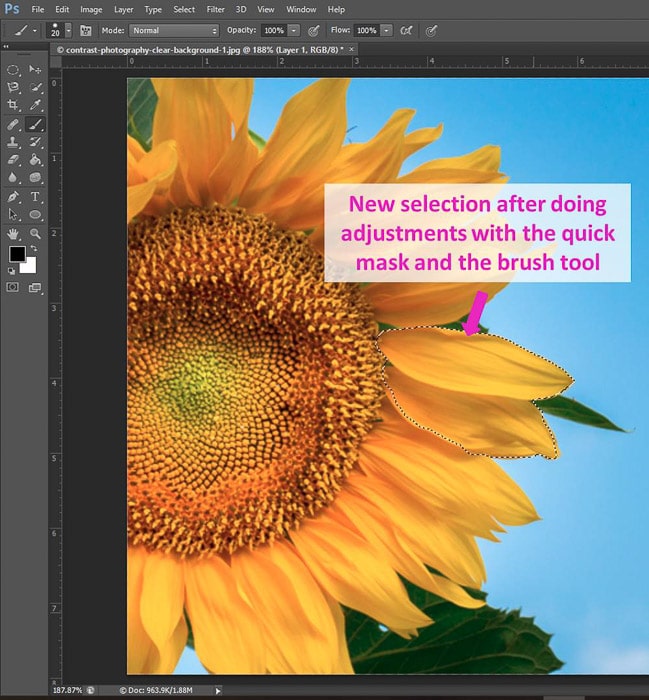 Screenshot of using the quick mask and brush tool Photoshop shortcuts