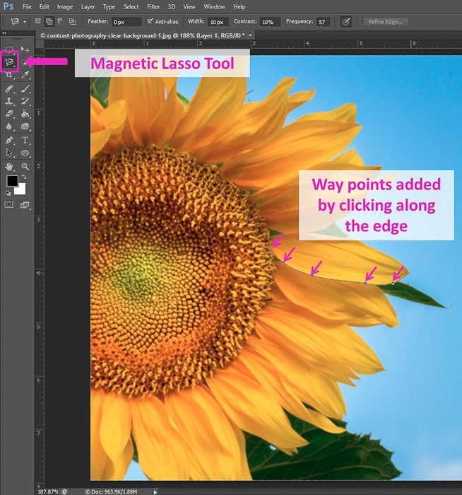 Captura de pantalla del uso de los accesos directos de Photoshop de la herramienta Lazo magnético