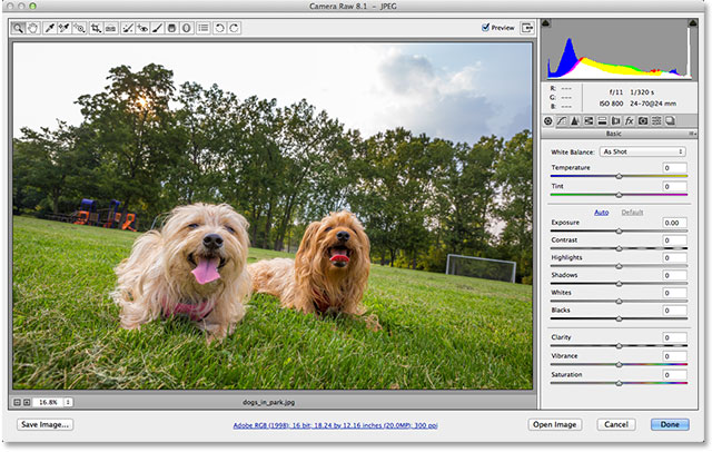 Una imagen JPEG abierta en Adobe Camera Raw 8.