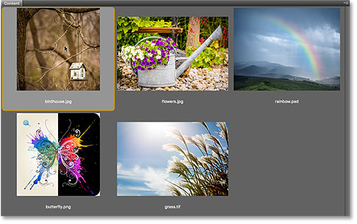 Abrir una imagen JPEG de Adobe Bridge en Photoshop.