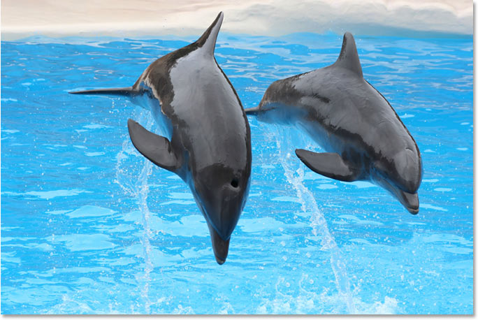 Una foto de dos delfines saltando del agua.