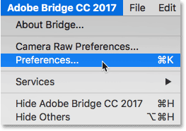 Abrir las preferencias de Adobe Bridge.