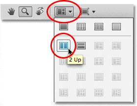 La opción Organizar documentos en la barra de la aplicación en Photoshop CS4.  Imagen © 2009 Photoshop Essentials.com