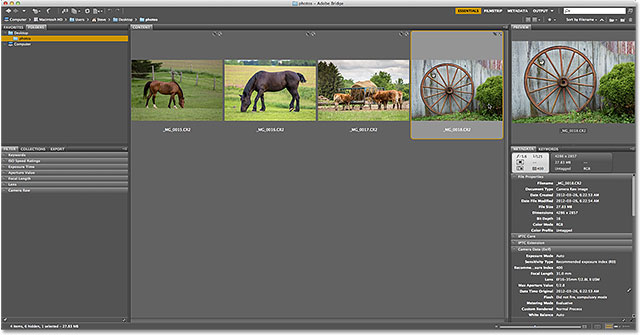 Regreso a Adobe Bridge después de salir de Camera Raw.  Imagen © 2013 , Photoshop Essentials.com