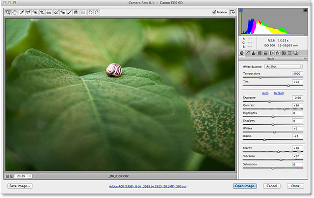Adobe Camera Raw 8 en Photoshop CS6.  Imagen © 2013 , Photoshop Essentials.com