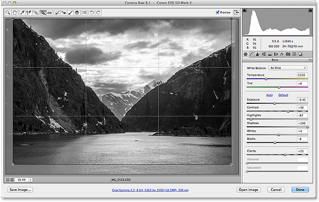 Recorte de una imagen en escala de grises en Adobe Camera Raw 8. Imagen © 2013 , Photoshop Essentials.com