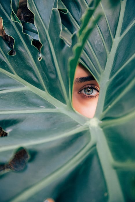 El ojo de una modelo femenina mirando a través de un hueco en una gran hoja verde: principios del arte y el diseño en la fotografía