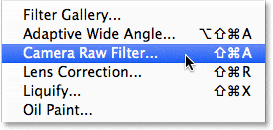Seleccionar el filtro Camera Raw en el menú Filtro en Photoshop CC. 