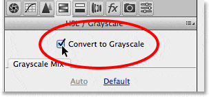 Seleccionando la opción Convertir a escala de grises. 