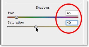 Establecer los valores de Tono y Saturación para la sección Sombras en el panel Tono dividido. 