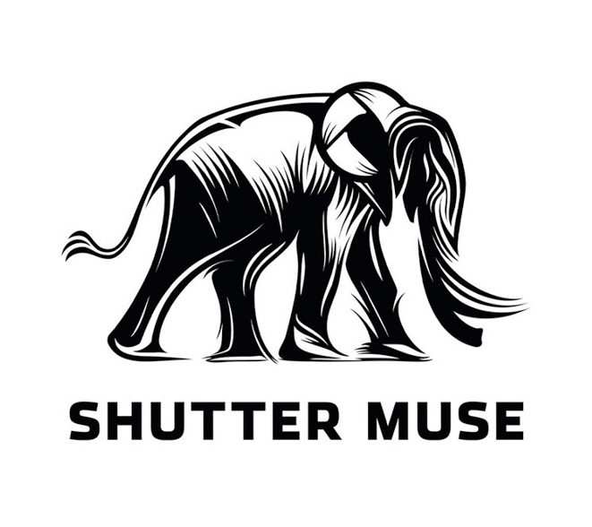 Shutter Muse blog de fotografía en línea diseño de logotipo