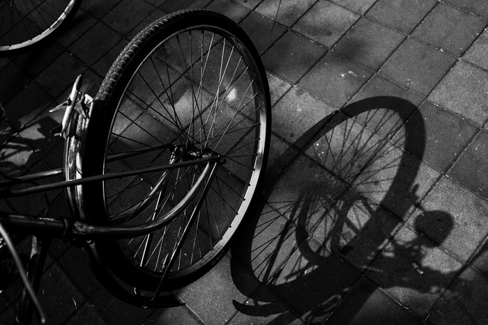Una foto en blanco y negro de una rueda de bicicleta y su sombra.