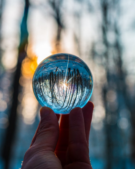 Una persona que sostiene una bola de lentes en un bosque para crear un efecto de fotografía al revés.