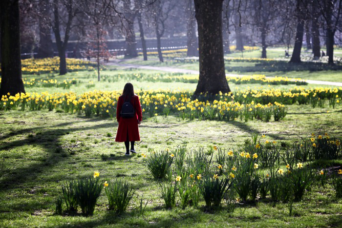 Foto brillante y aireada en un parque de Londres