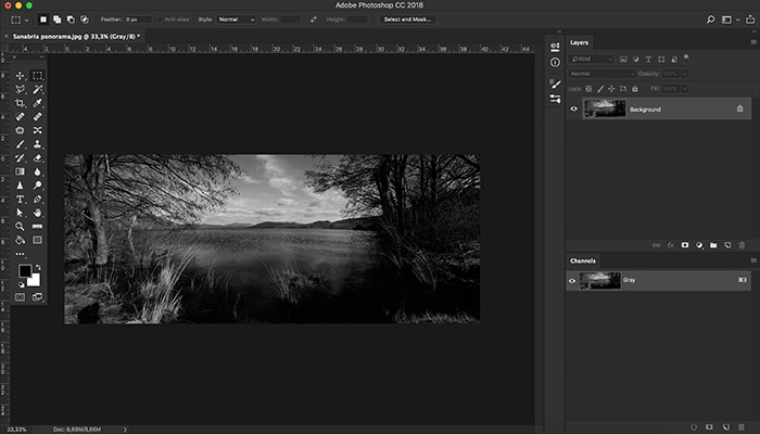 Una captura de pantalla del uso del modo de color en escala de grises en Photoshop