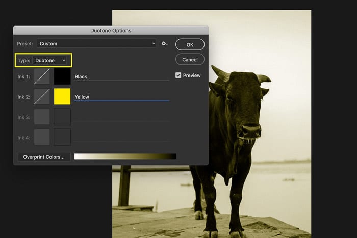 Una captura de pantalla de la conversión de una imagen a duotono en Photoshop: modos de color en Photoshop