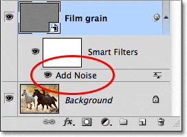 El filtro Agregar ruido aparece como un filtro inteligente en el panel Capas.
