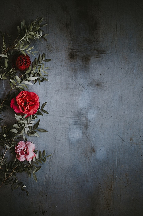 Bodegón atmosférico de rosas contra un fondo oscuro con textura 