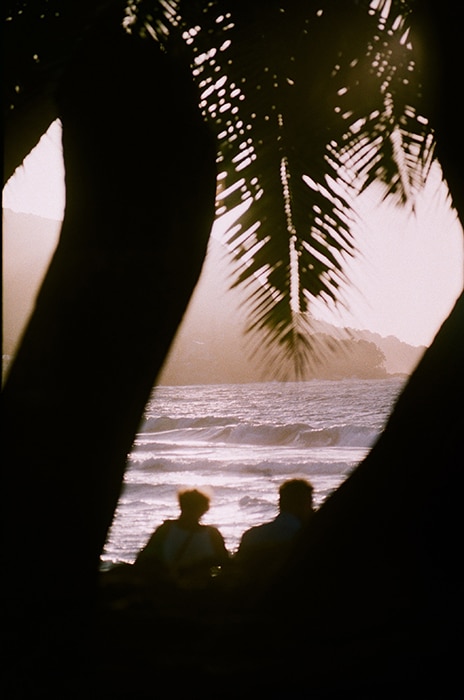 Una escena de playa filmada a través de la silueta de los árboles.