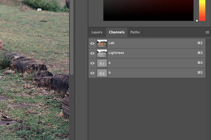 una captura de pantalla que muestra cómo usar Lab Color en Photoshop