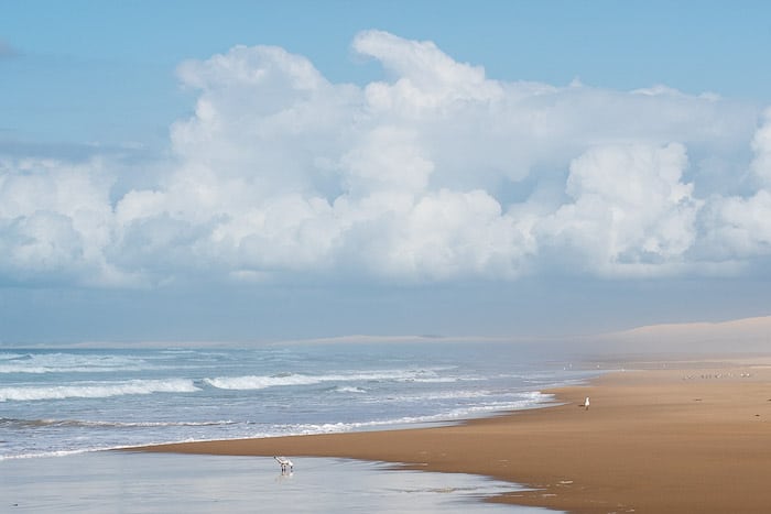 Una escena de playa luminosa con gaviotas que muestra el sentido de la escala en la foto.