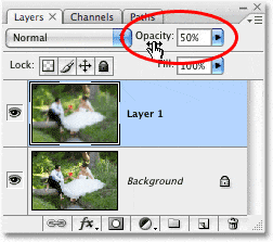 La opción de opacidad de capa en la paleta Capas en Photoshop.  Imagen © 2008 Photoshop Essentials.com.