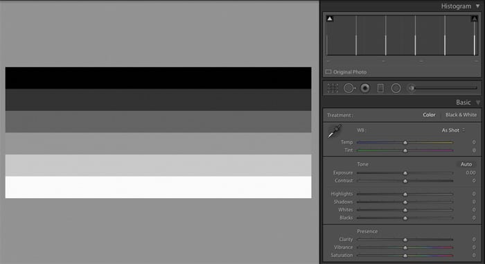 Ejemplo de barras de contraste en Adobe Lightroom