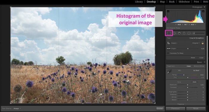 una captura de pantalla de la edición de una foto con el histograma de Lightroom