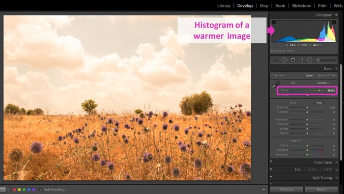 una captura de pantalla de la edición de una foto con el histograma de Lightroom