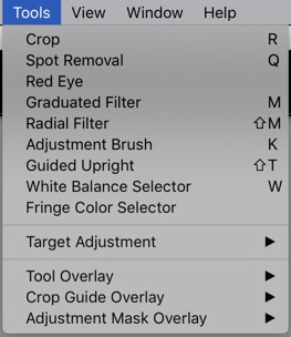 una captura de pantalla que muestra cómo verificar las herramientas en Lightroom