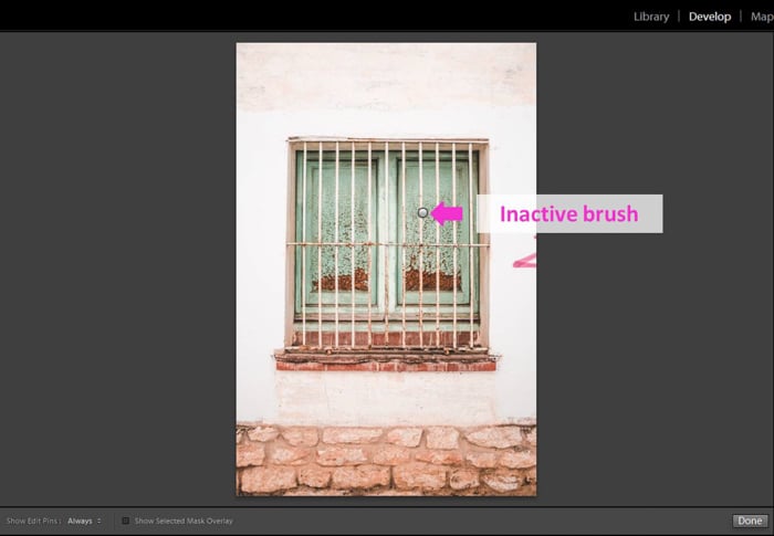 Una captura de pantalla que muestra cómo usar la herramienta Pincel de ajuste de Lightroom: pincel inactivo
